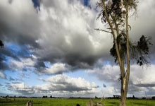 开云体育在线-德甲联赛迎来惊喜结果，足球激情再度点燃