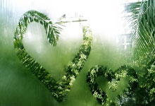 开云体育APP下载-灰熊力克公牛，商业丛林谁主沉浮？