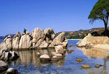 开云平台-阿拉维斯队的主场如何带动球队表现