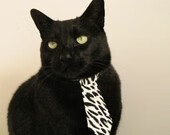 开云体育中国-托尼的铁蹄，一位中场大将如何碾碎摩洛哥，重塑北非足球版图