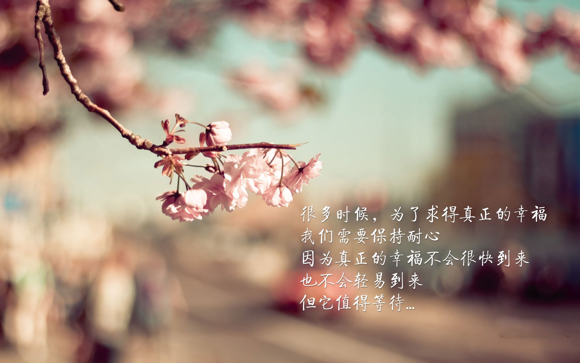 绿军横扫尼克斯,哈登奥运模式提前启动?