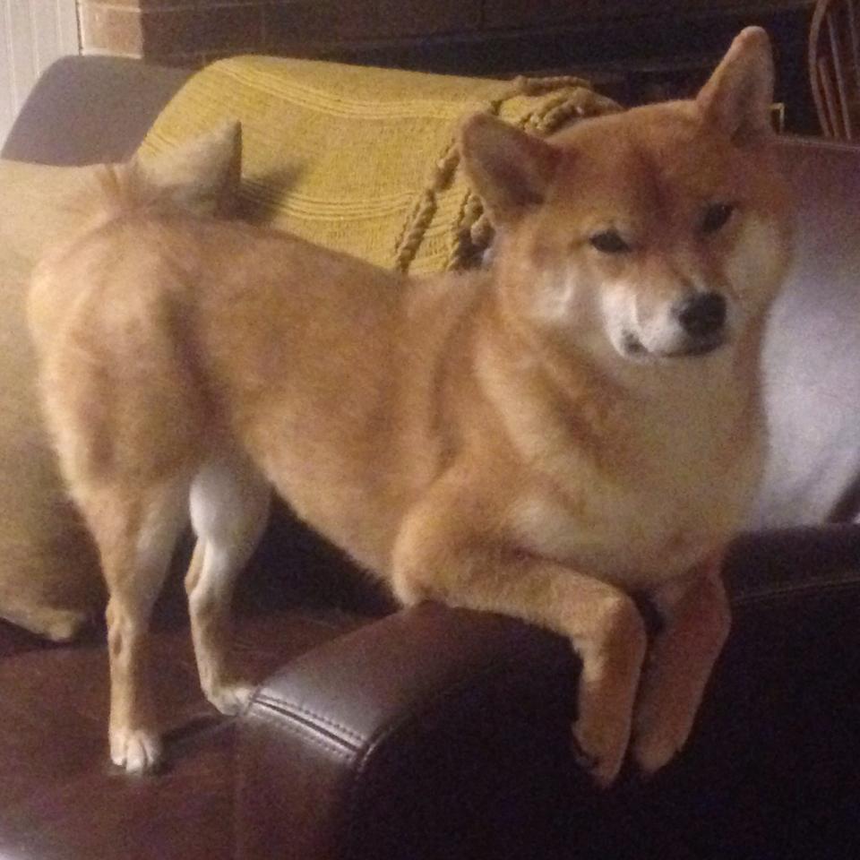 开云体育在线-重剑与晨星，当楚阿梅尼扛起皇马的银河