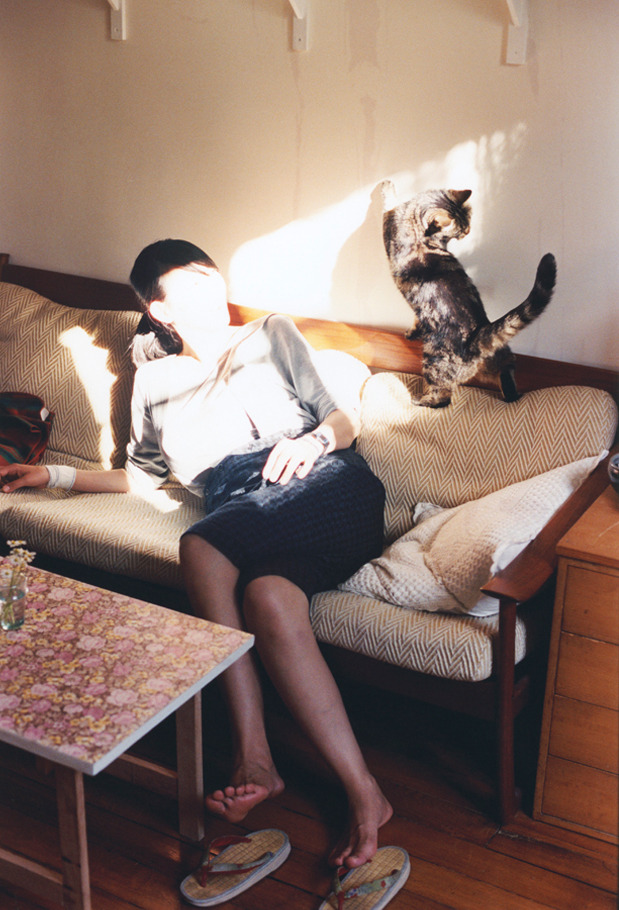 伊布戴帽,米兰夺冠夜,德甲争冠战之夜的永恒证明