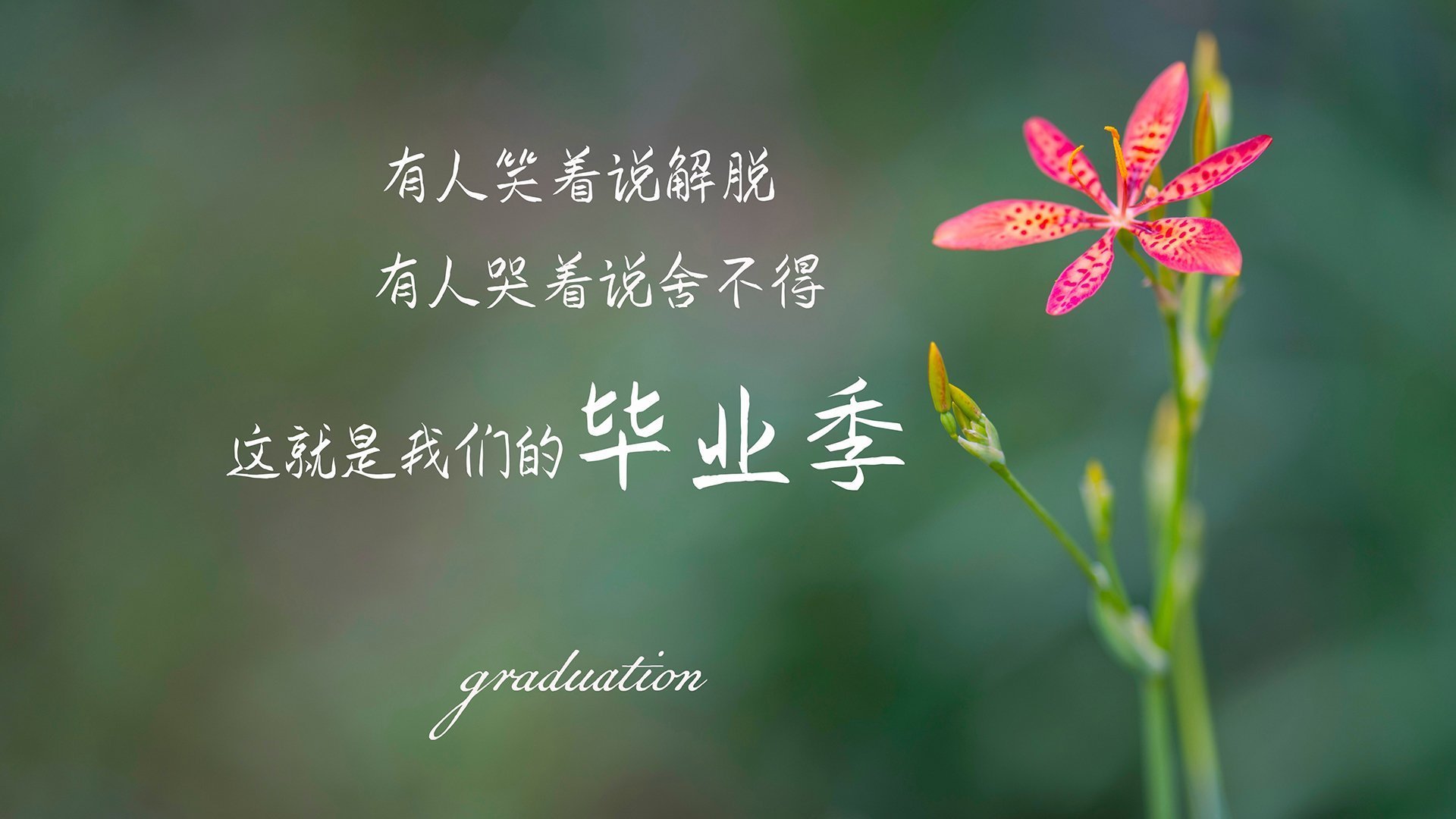 开云体育登录-内马尔持续制造杀伤，马德里竞技制霸哥斯达黎加，足球全球化中的力量交锋