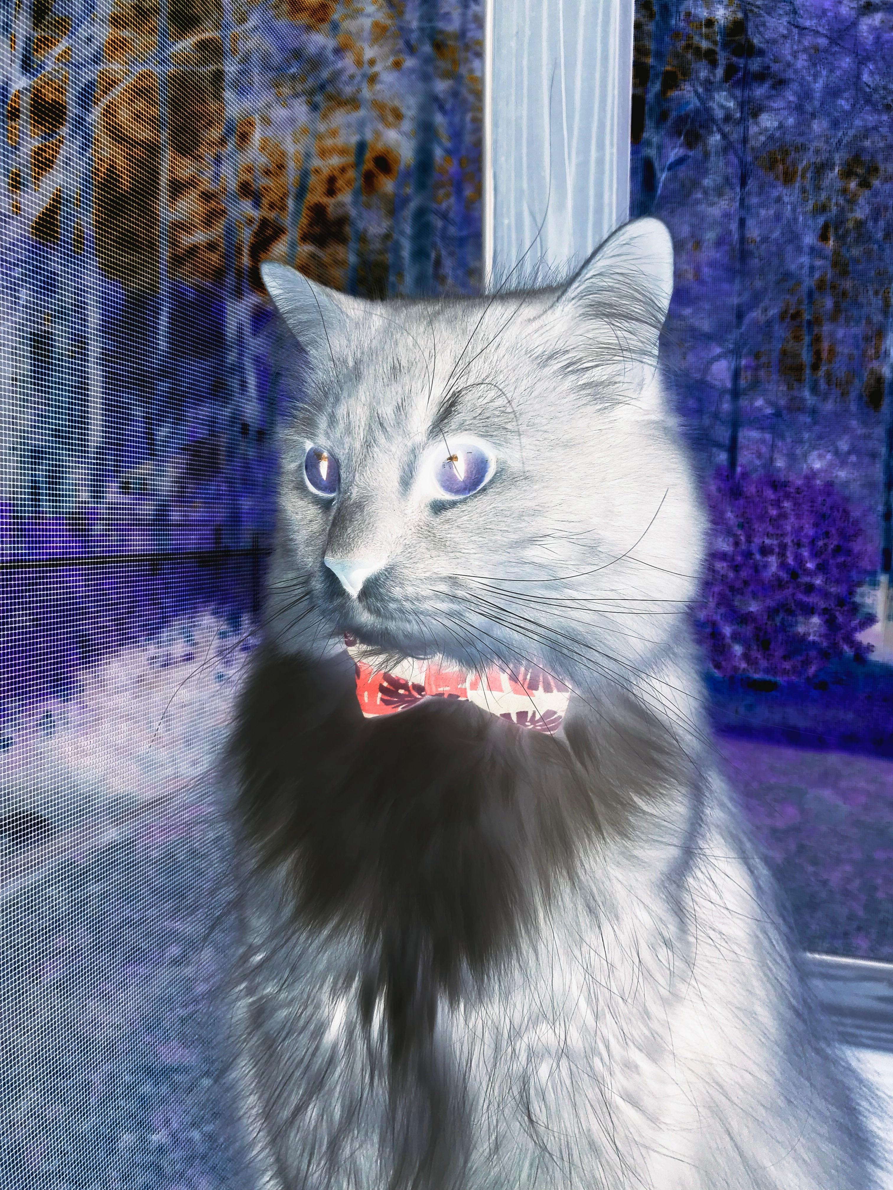 开云体育入口-铁血活塞凿穿银黑军团，英格拉姆末节封神定乾坤