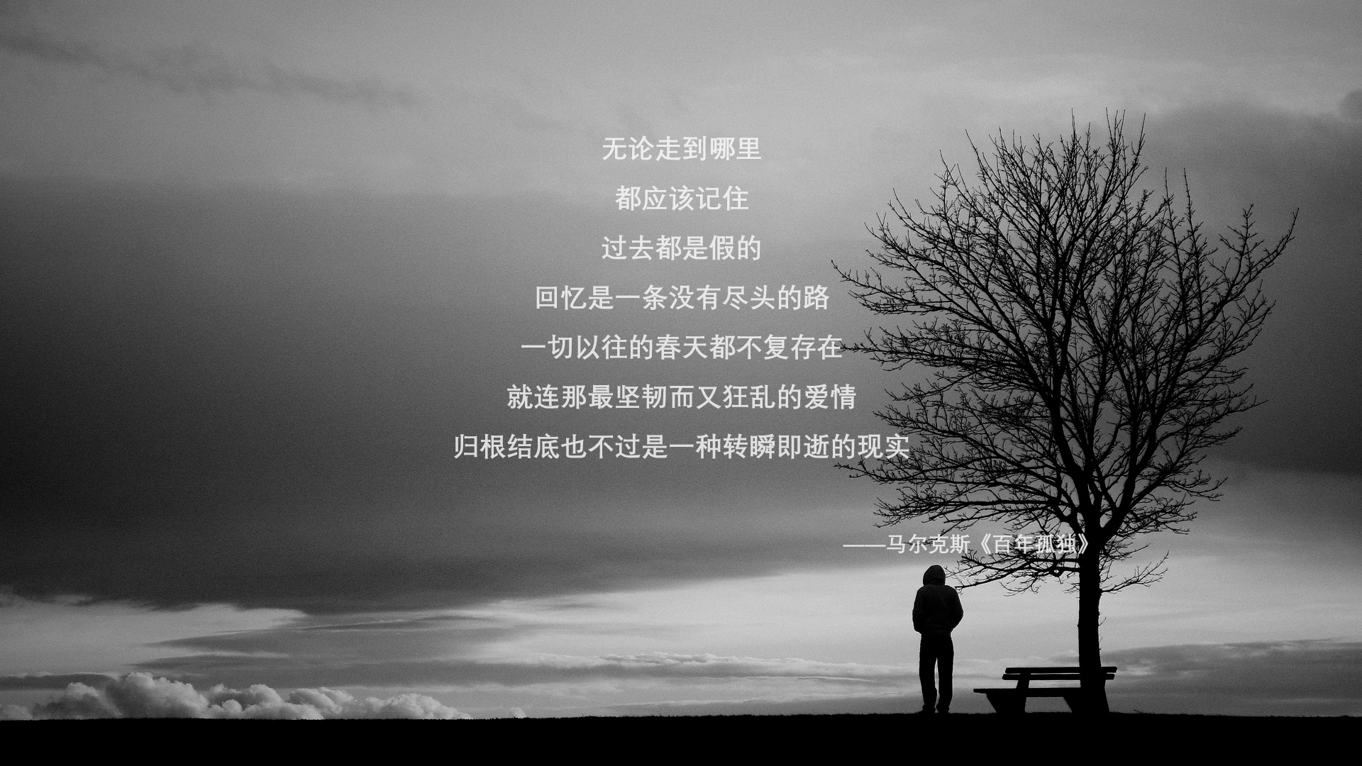 永不沉没，从潘帕斯雄鹰到蓝黑军团，德甲争冠战的终极启示