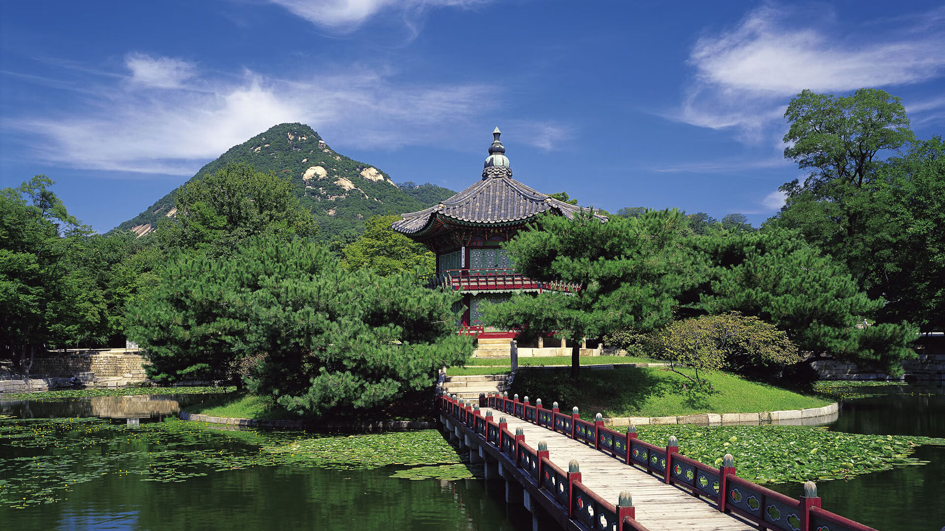 阿克在焦点战中证明自己，奥地利对阵切尔西的胜利篇章