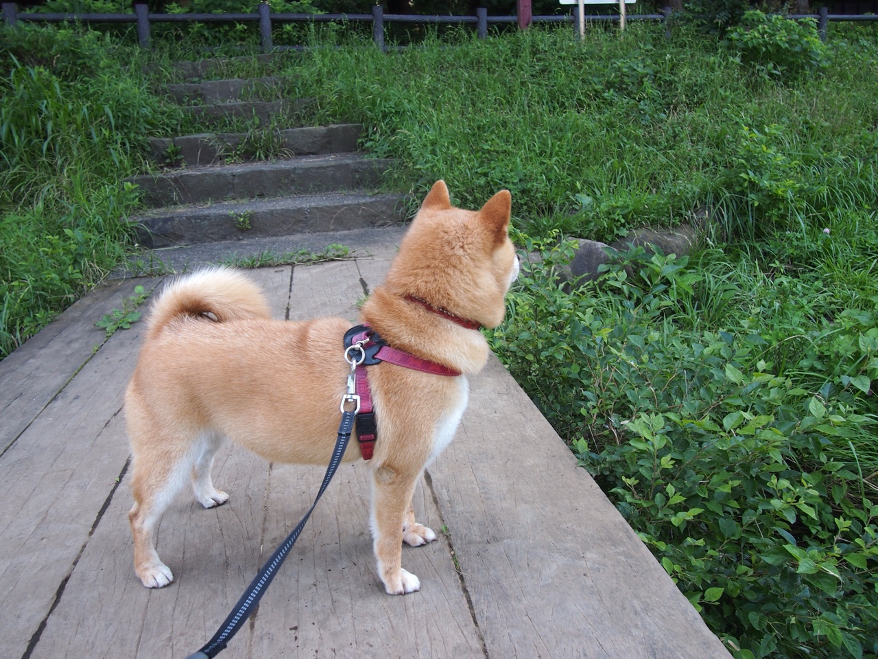 开云体育中国-尼克斯上演末节逆转好戏，班凯罗制胜三分震惊马刺