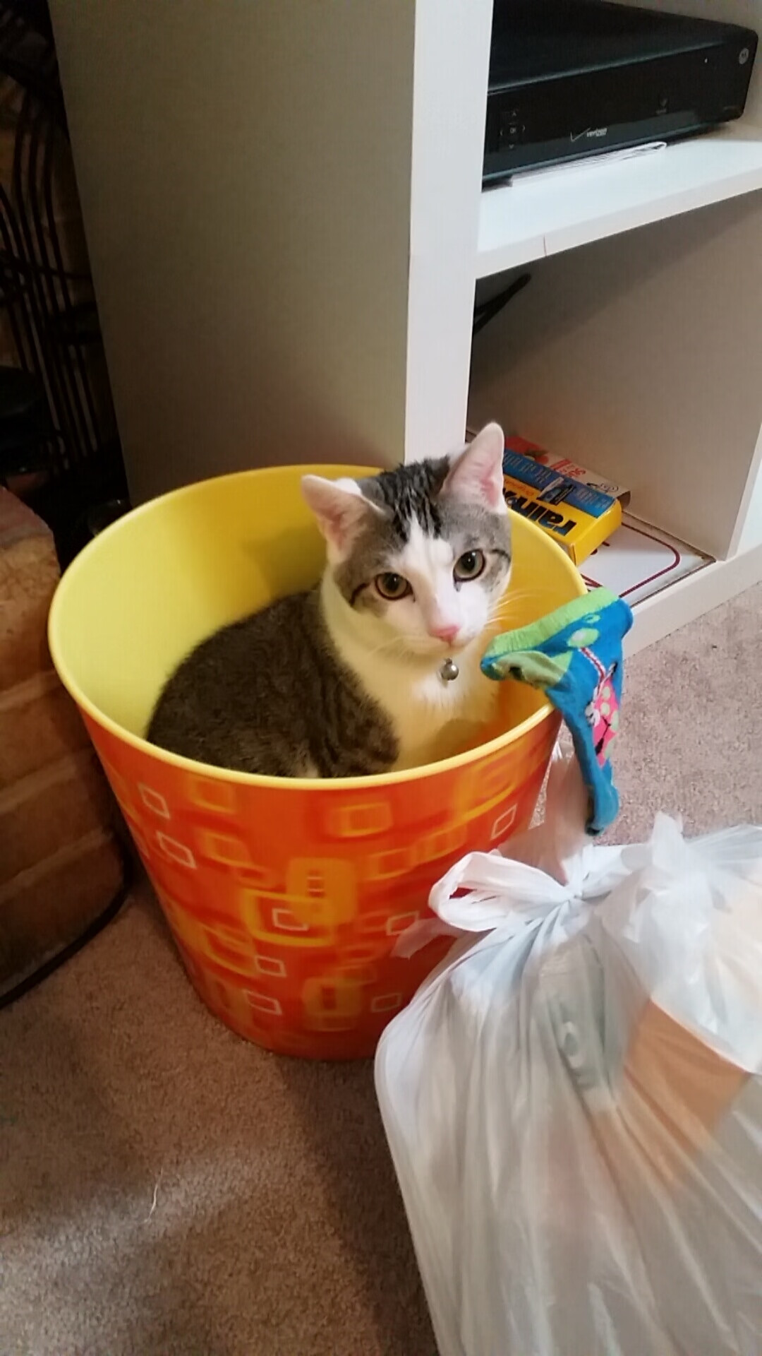 单节风暴，绝境英雄，托尼如何从质疑声中拯救秘鲁？